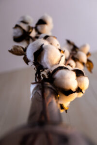 Daniëlle ten Pierik-Gerssen